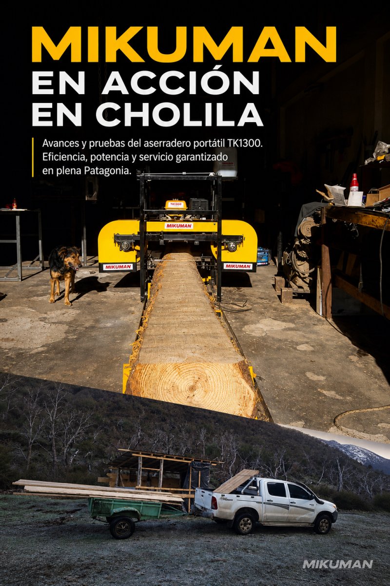 Imagen del Articulo