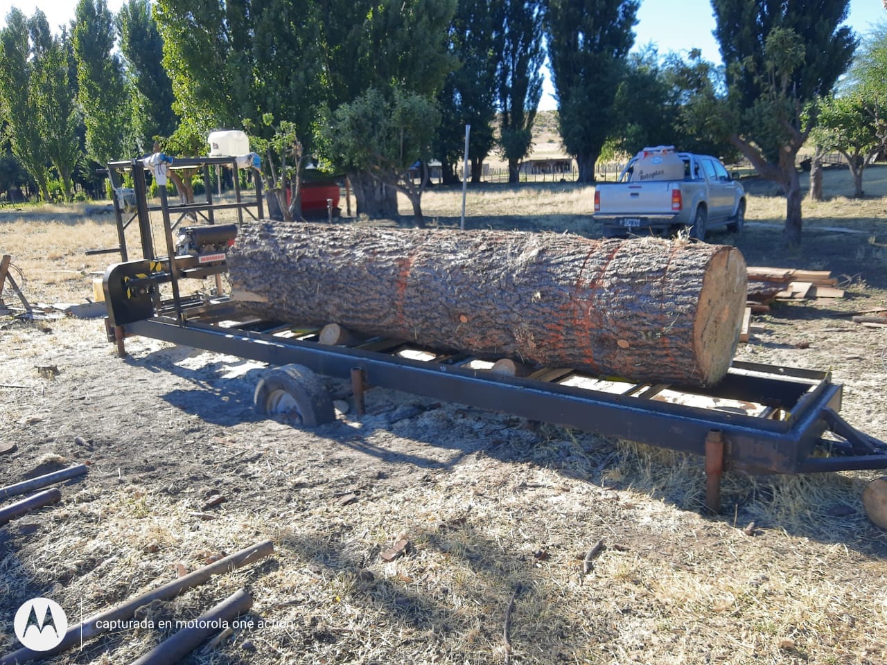Imagen del Articulo