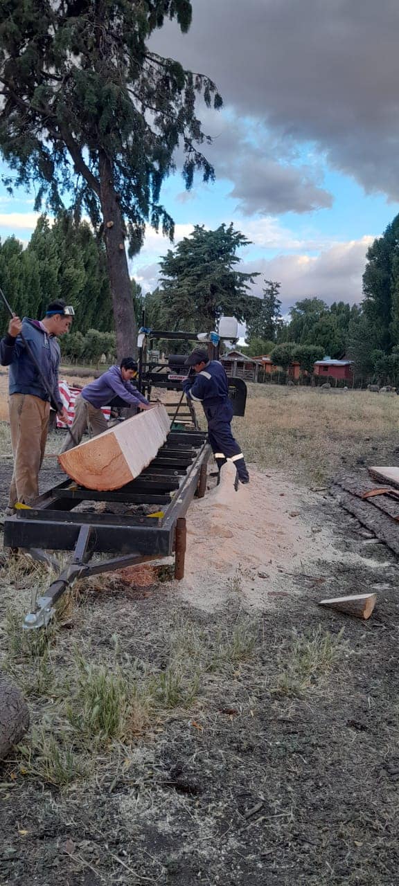 Imagen del Articulo